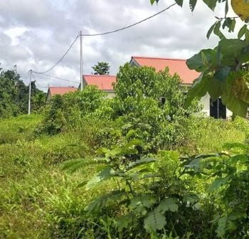 Banyak,Aset Miliaran Rupiah Papua Barat Mubazir di Bintuni