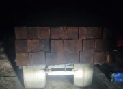 Investigasi Wartawan Bongkar Sindikat Kejahatan Pengusaha Kayu Olahan di Sorong