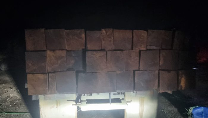 Investigasi Wartawan Bongkar Sindikat Kejahatan Pengusaha Kayu Olahan di Sorong