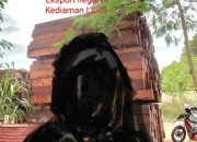 Kayu Ilegal Lancar,Oknum Aparat Diduga Jadi Bekingan