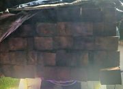 Jejak Kayu Ilegal dan Bayang-Bayang Seragam Oknom Aparat di Papua Barat Daya