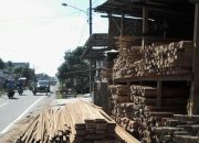 Minimnya Pembangunan Pengaruhi Modal Pengusaha Kayu Olahan di Papua Barat Daya