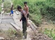 Jembatan Ambruk di Teluk Bintuni, Warga Desak Pemerintah Ambil Tindakan Cepat