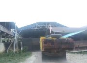 Skandal Kayu Ilegal di Sorsel : Aktor Lama,Modus Lama,Negara Kalah Lagi!