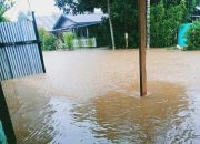 Banjir Genangi Waisai Kota,Aktivitas Perkantoran di Raja Ampat Terhambat